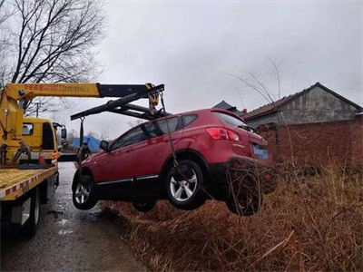 汝阳楚雄道路救援